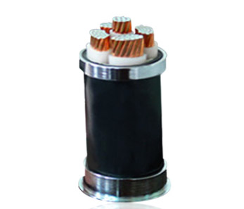 ŷ  ϵ-廻DC20B5